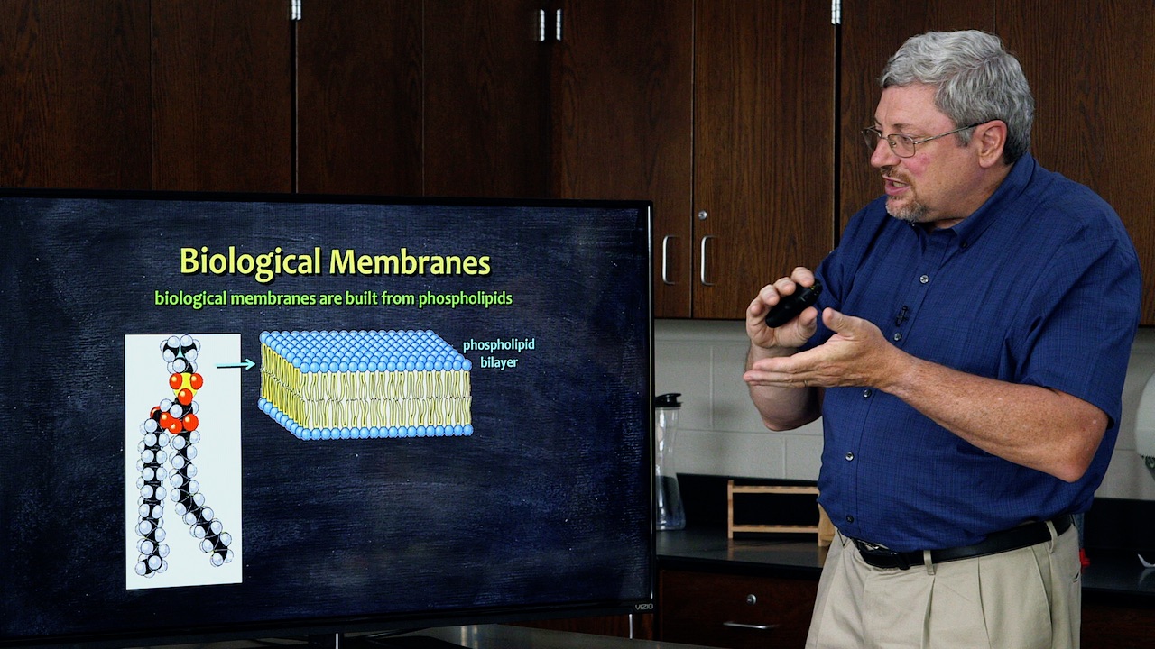 Devotional Biology - My Compass Classroom