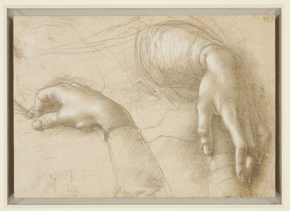 Studio Art: Introduction to Drawing