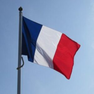 Group logo of Visual French